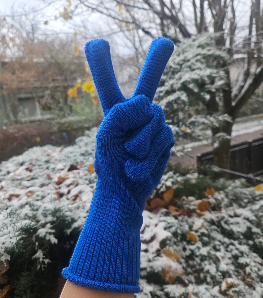 berryboat_merino_handschuhe5_blau_kobalt.webp