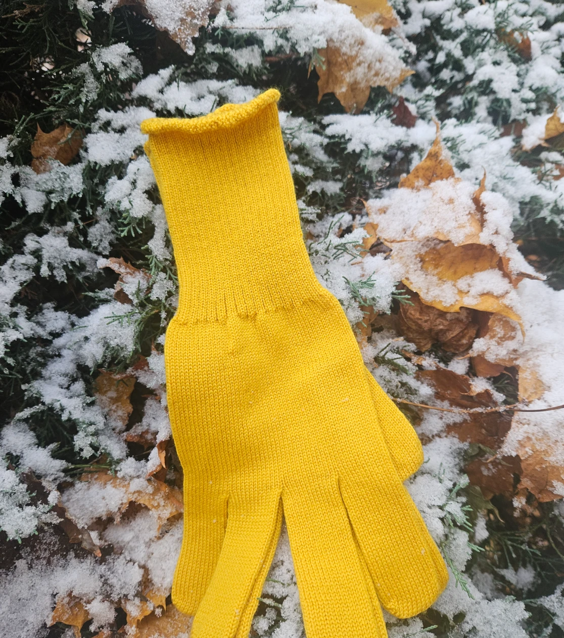 berryboat_merino_gloves_yellow.webp