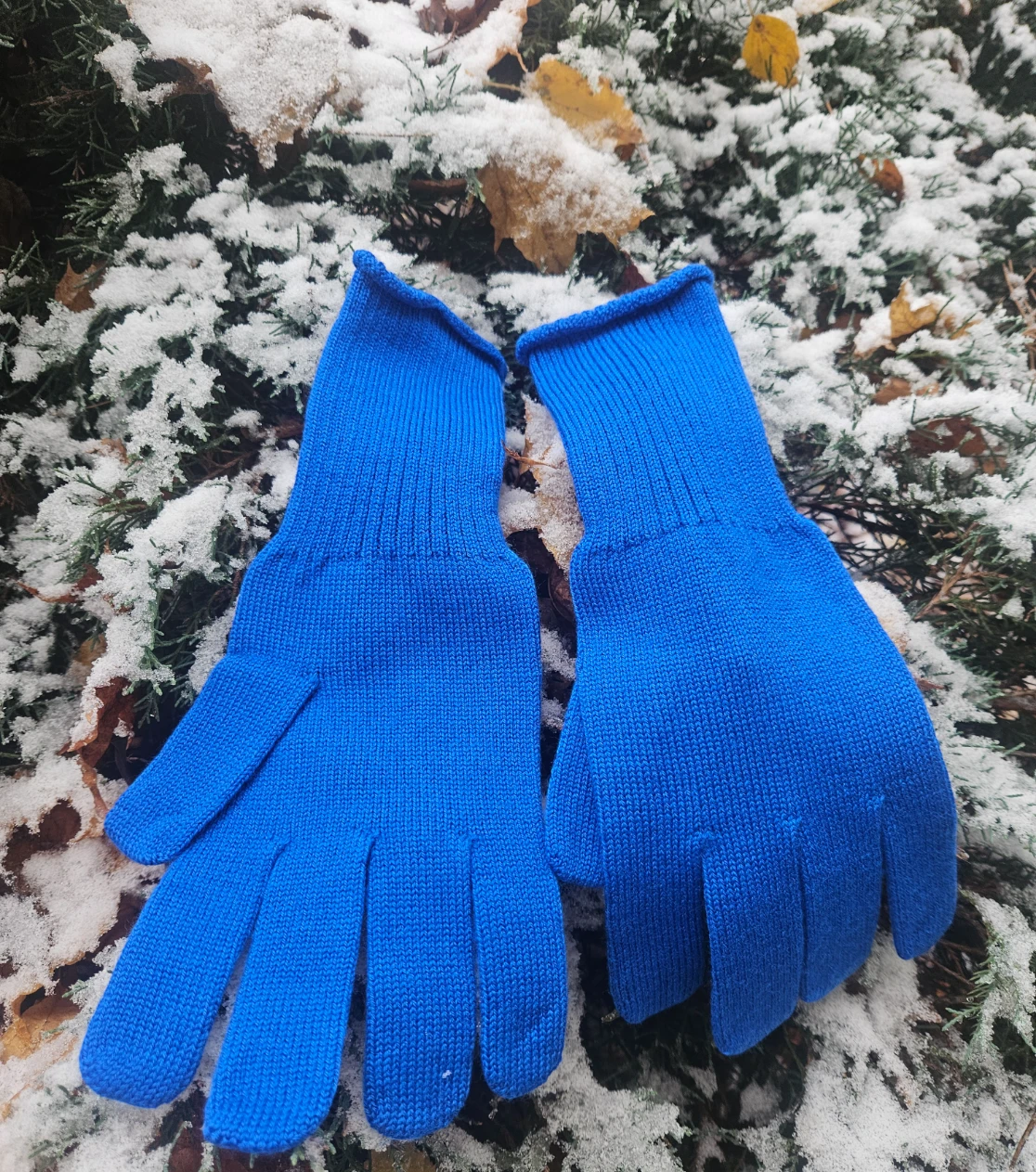 berryboat_merino_handschuhe1_blau_kobalt.webp