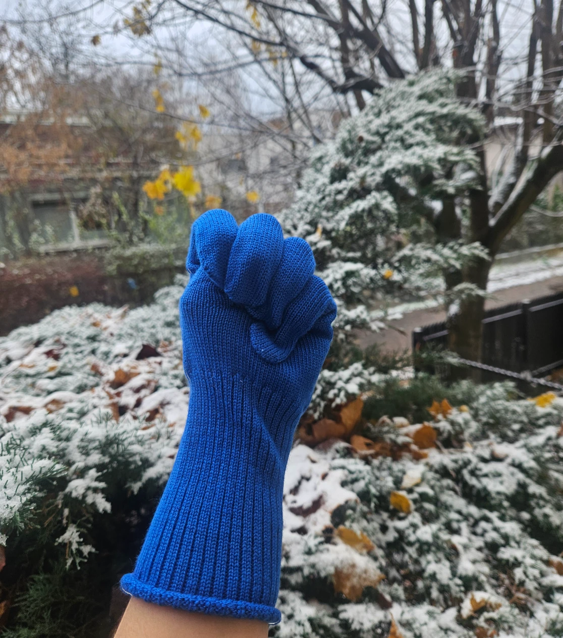 berryboat_merino_handschuhe3_blau_kobalt.webp