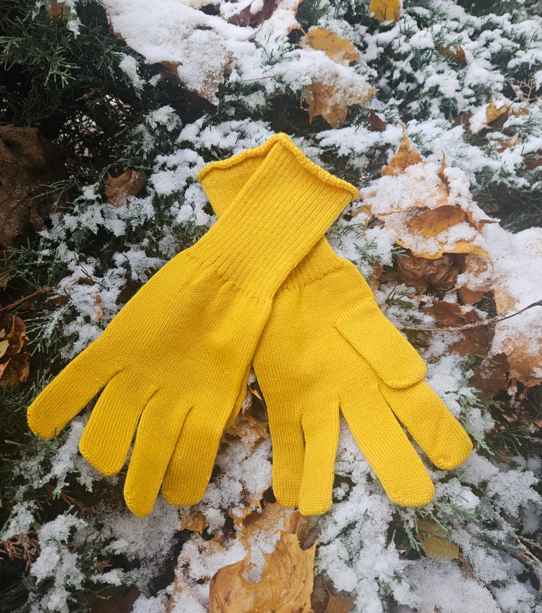 berryboat_merino_gloves17.webp