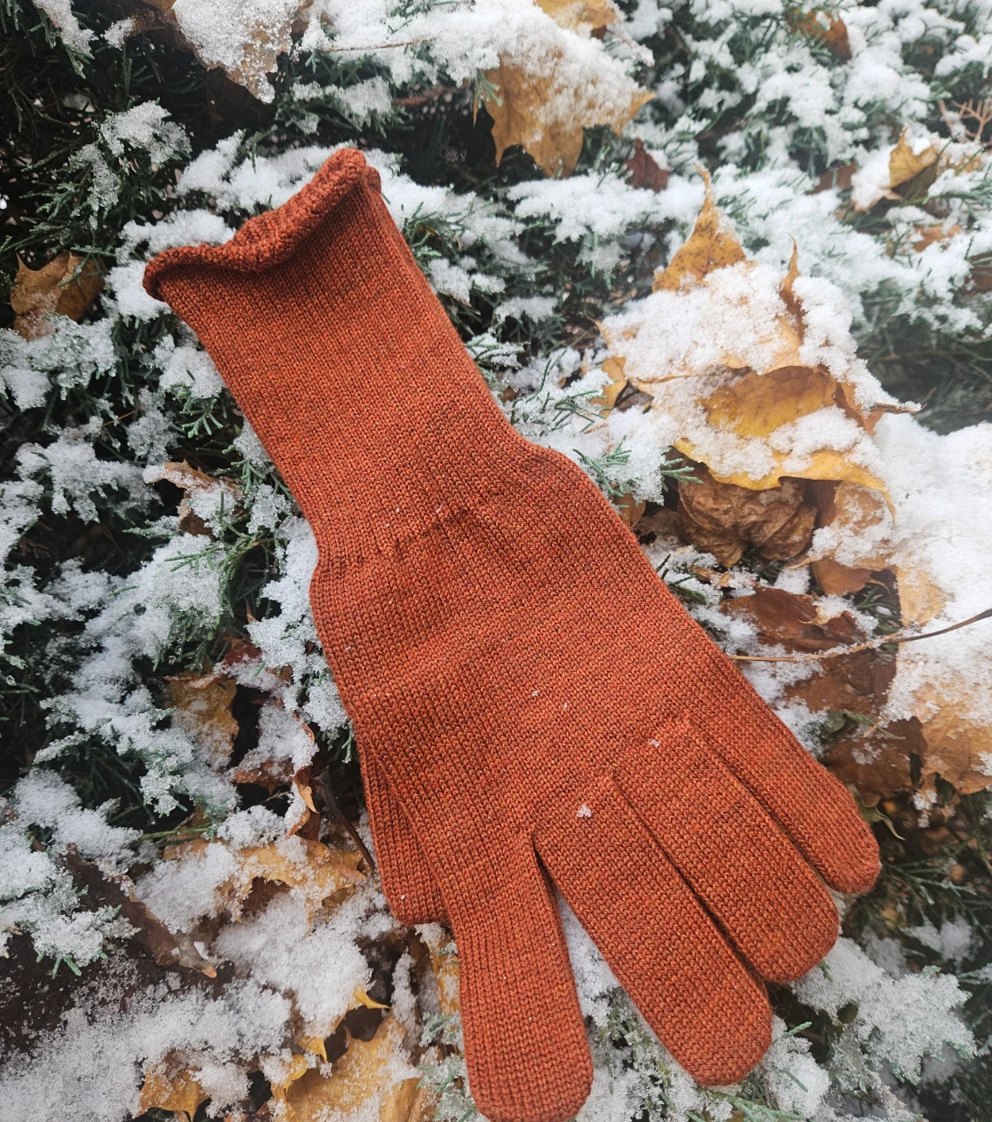 berryboat_merino_gloves18.webp